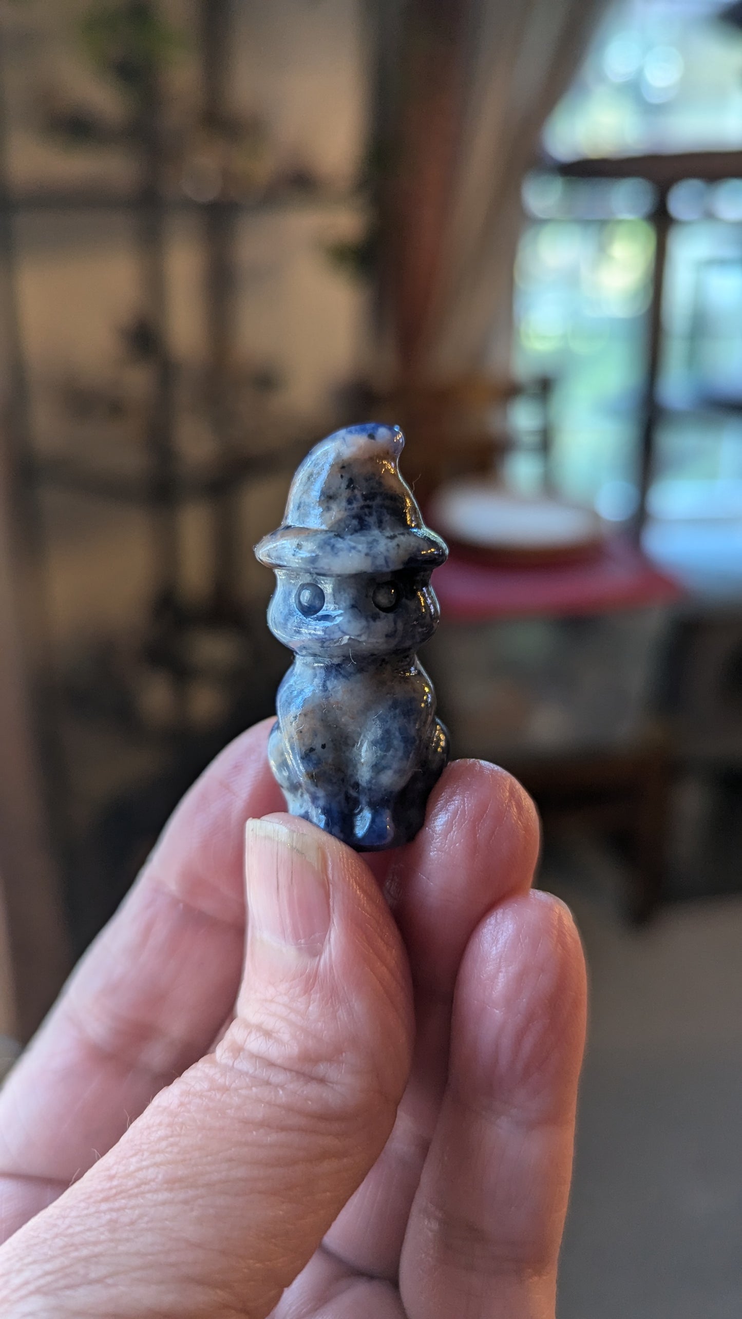 Witch Cat (Sodalite) - HARMONY, SELF EXPRESSION, FOCUS