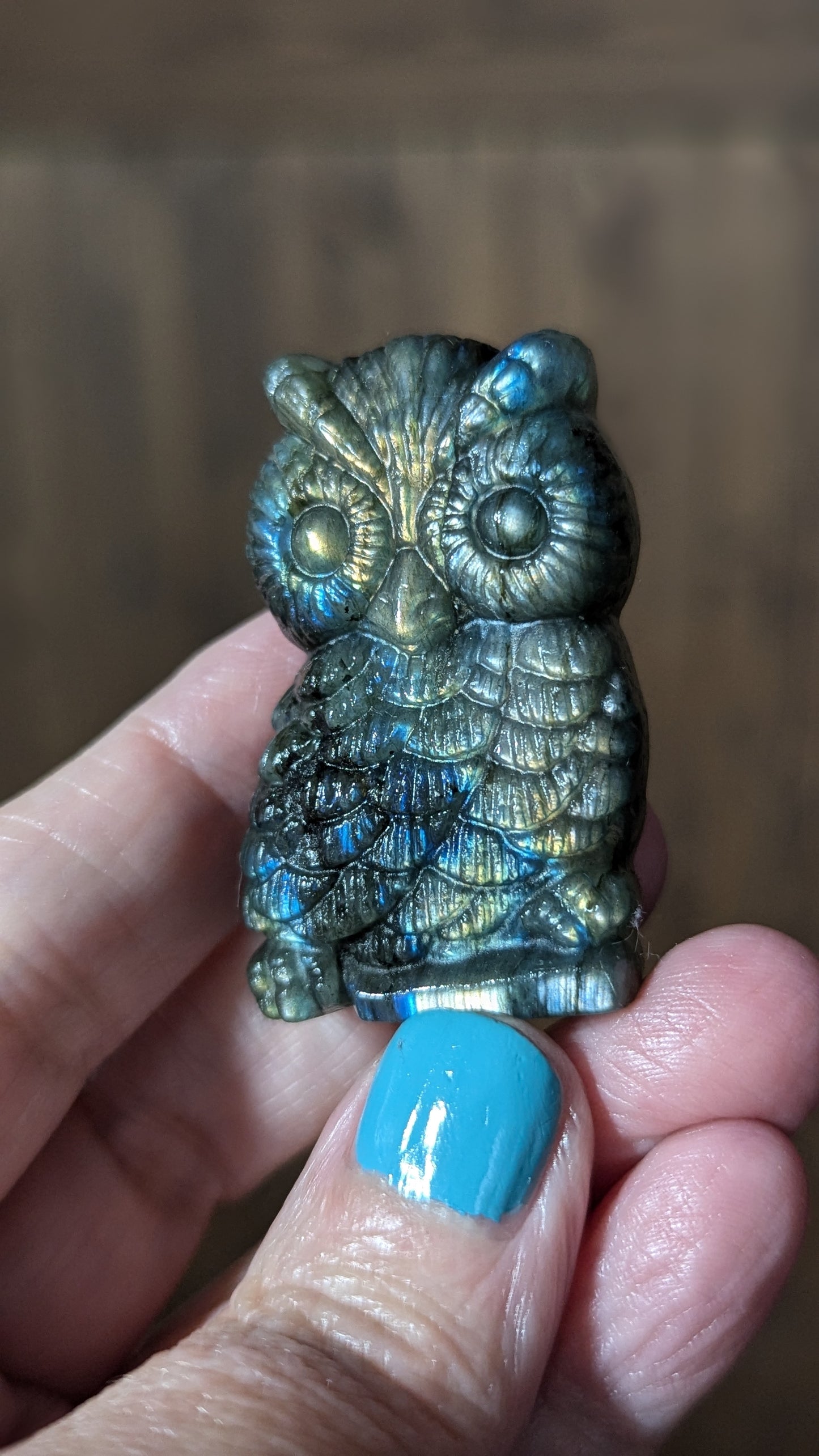 Labradorite Owl - STRENGTH, TRANFORMATION, INTUITION