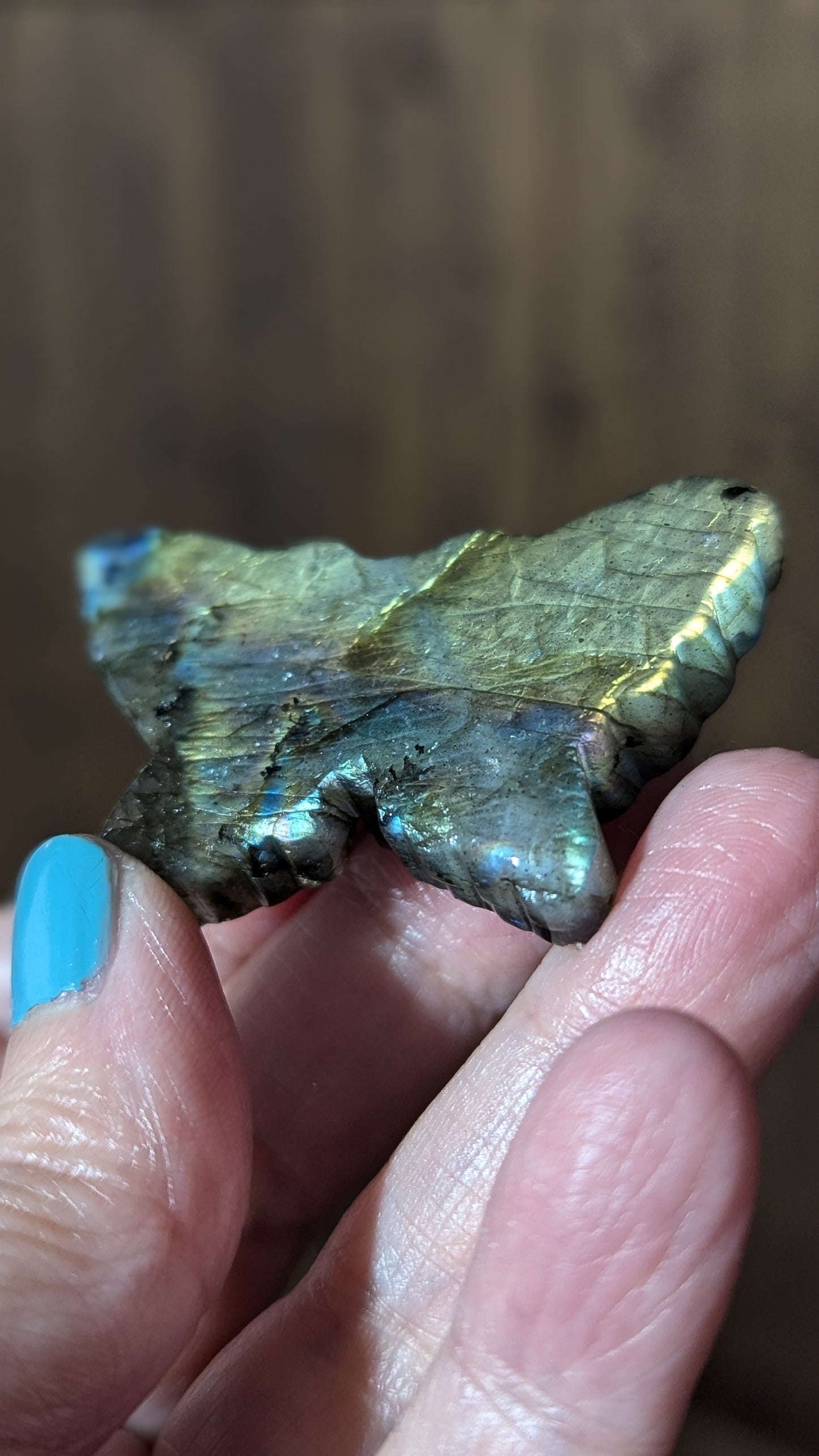 Labradorite Butterfly - STRENGTH, TRANFORMATION, INTUITION