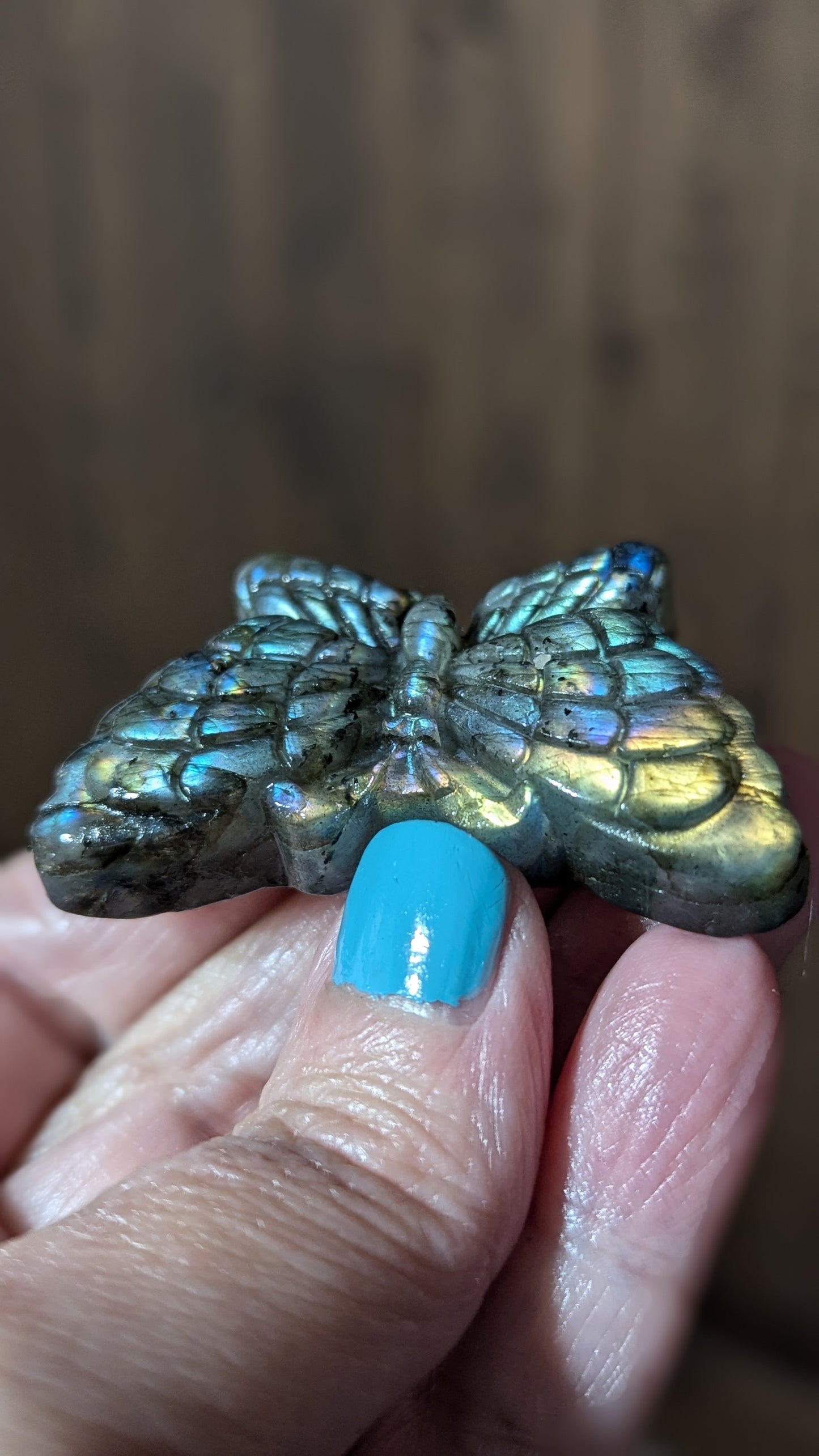 Labradorite Butterfly - STRENGTH, TRANFORMATION, INTUITION