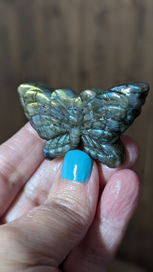 Labradorite Butterfly - STRENGTH, TRANFORMATION, INTUITION