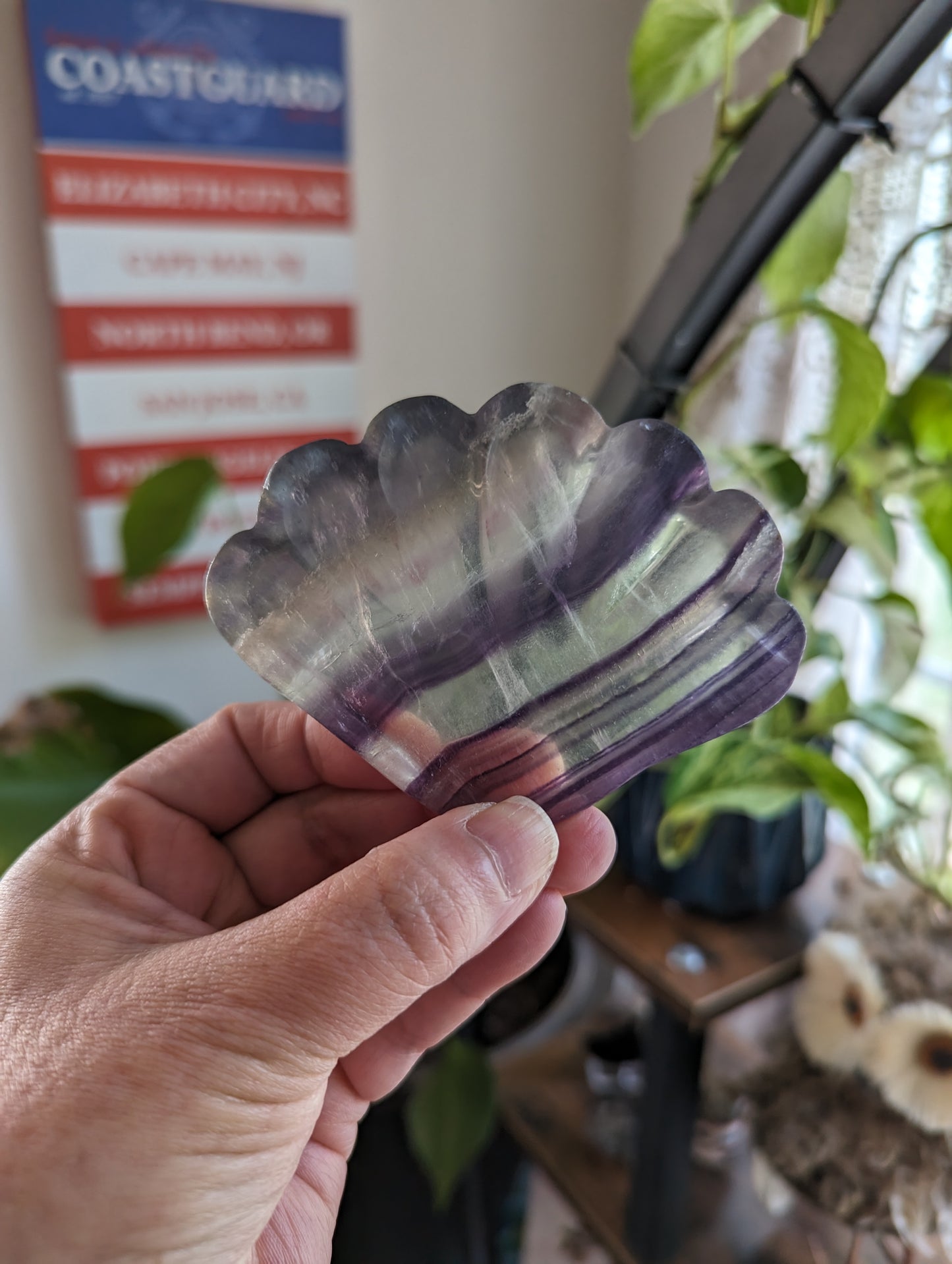 Fluorite Dish - GROWTH, RE-ENERGIZE- HEALING