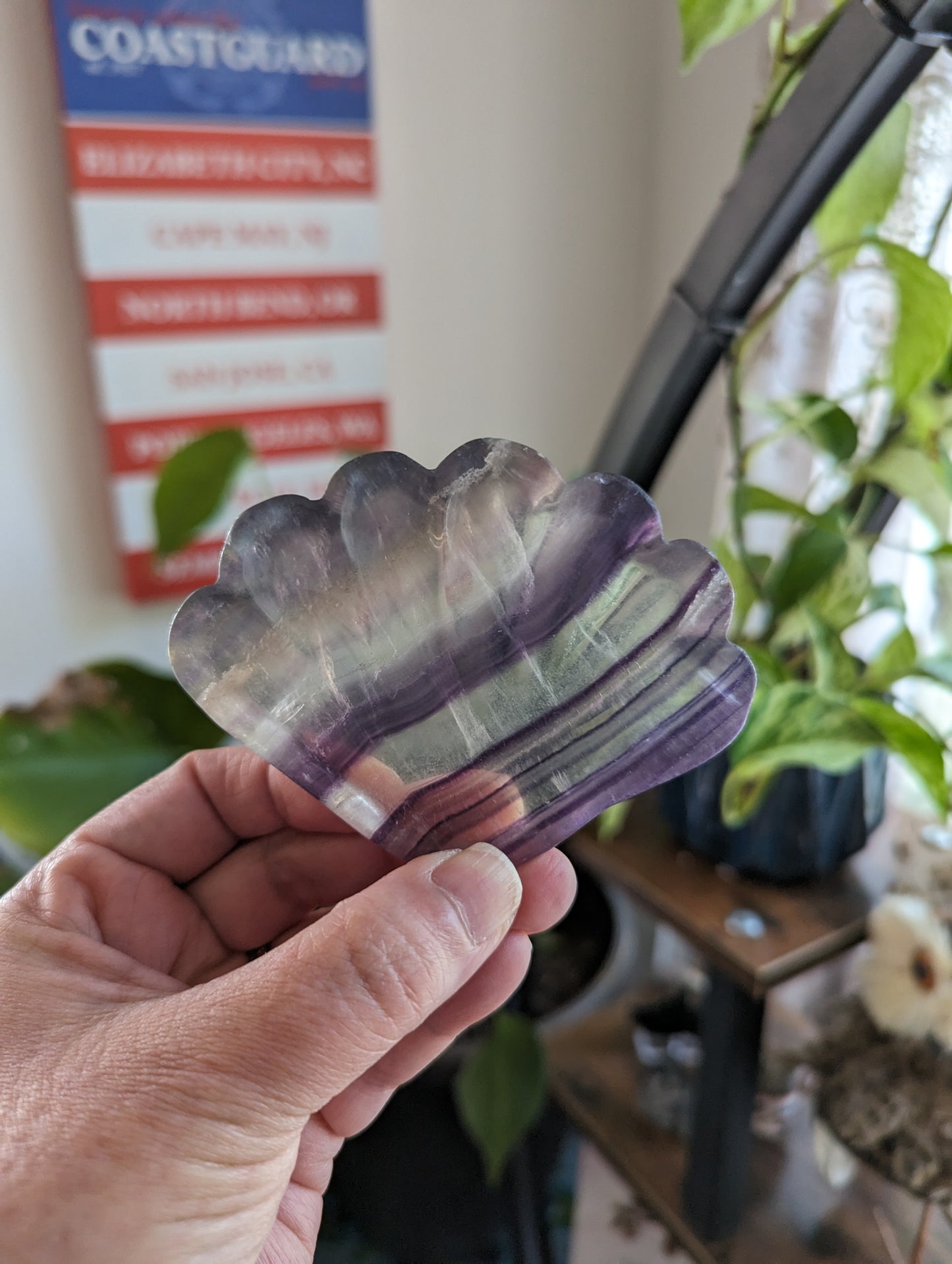 Fluorite Dish - GROWTH, RE-ENERGIZE- HEALING