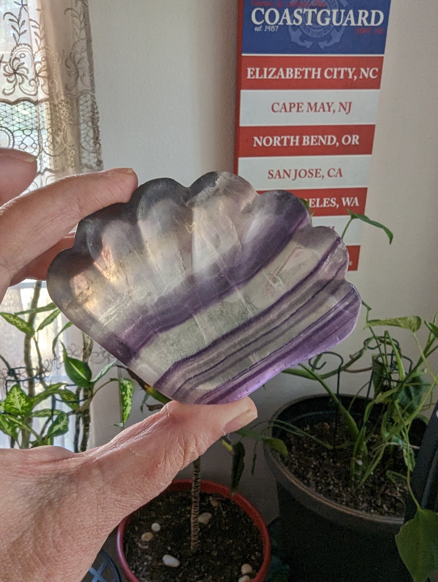 Fluorite Dish - GROWTH, RE-ENERGIZE- HEALING