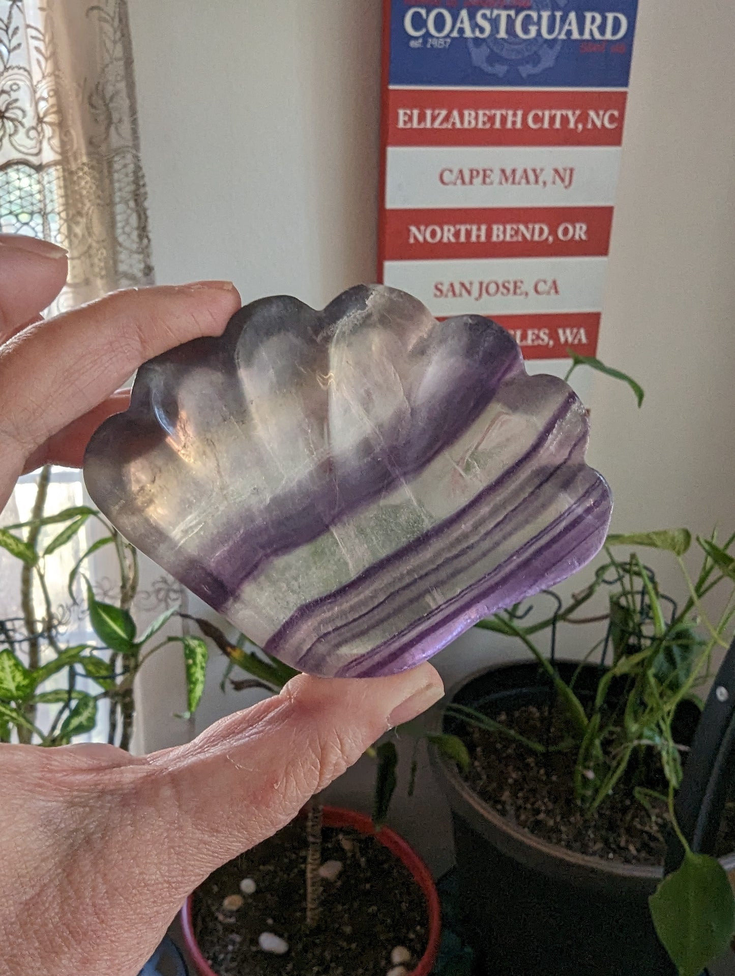 Fluorite Dish - GROWTH, RE-ENERGIZE- HEALING