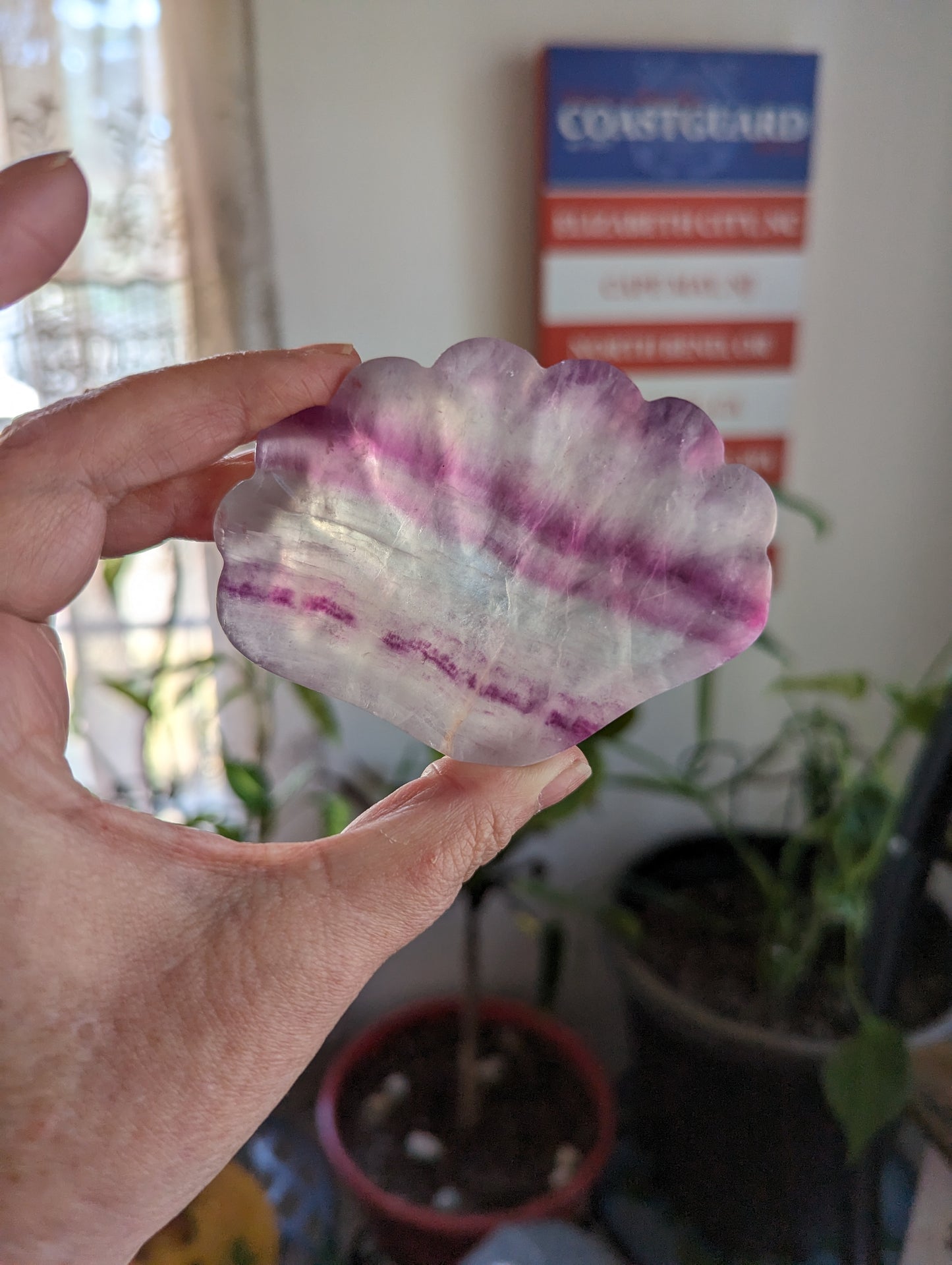 Fluorite Dish - GROWTH, RE-ENERGIZE- HEALING