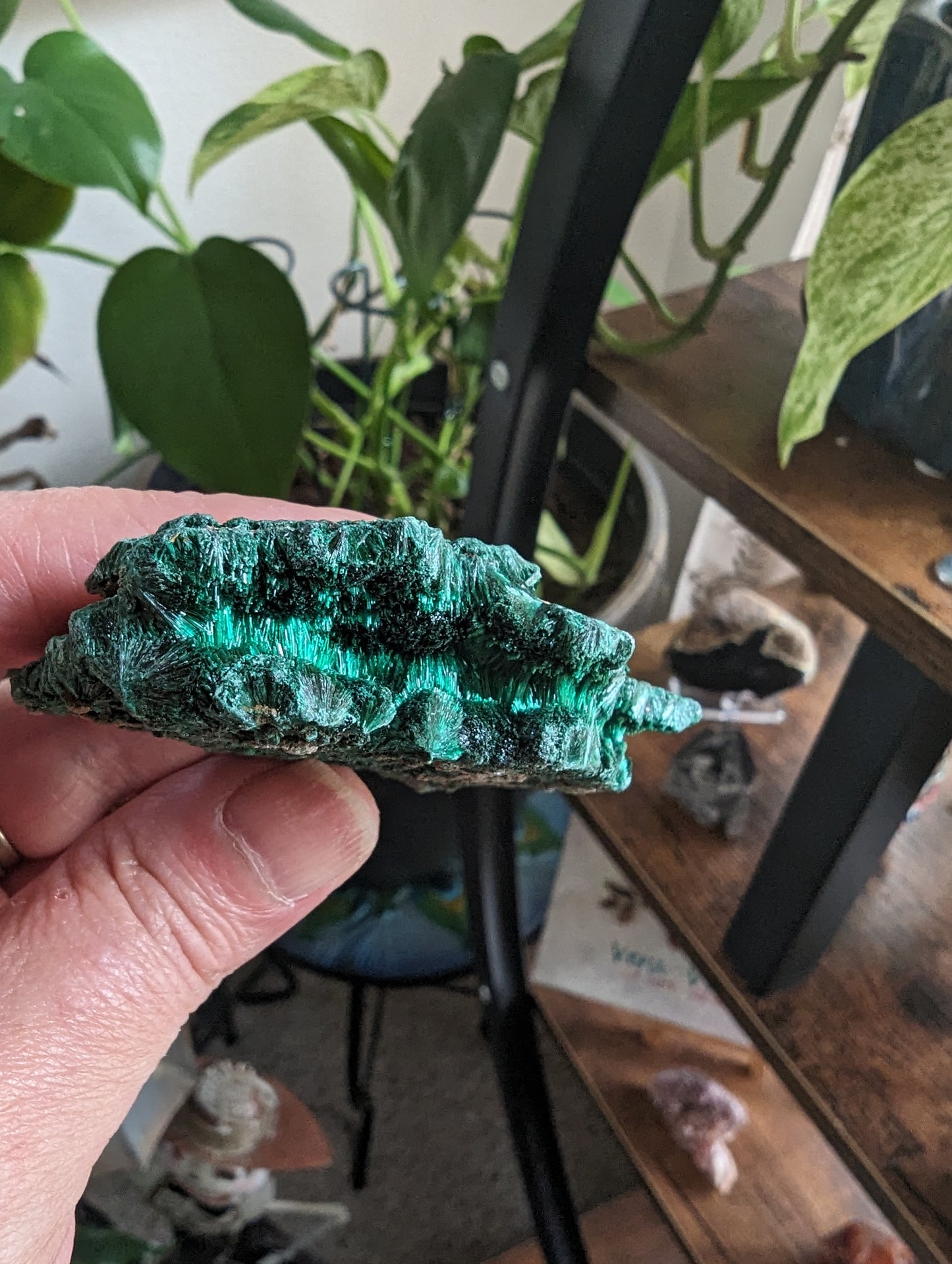 Malachite Silky (Congo) - ABUNDANCE, BALANCE, CLEANSING