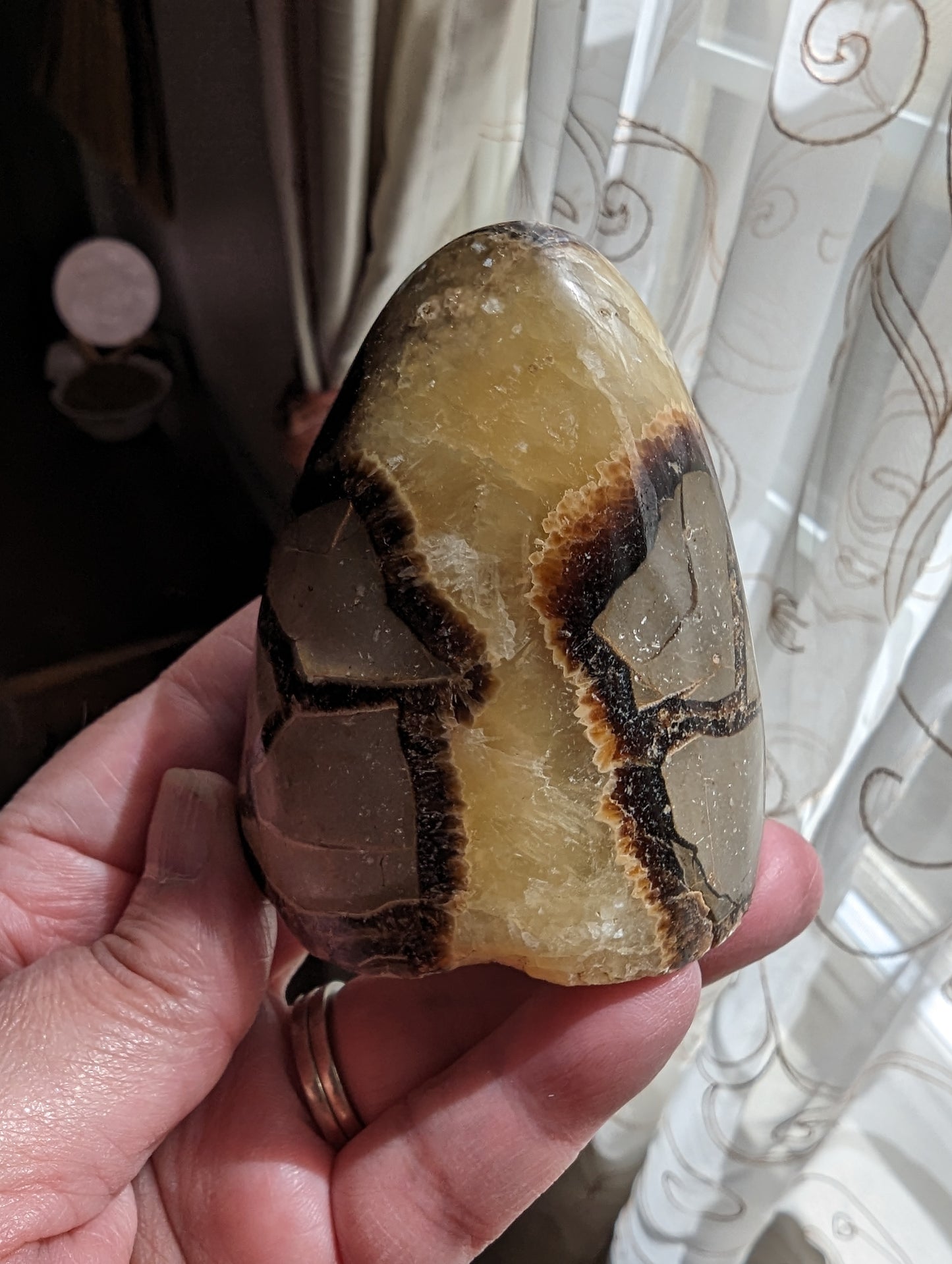 Septarian Freeform  - PROTECTION, CONFIDENCE, STRENGTH