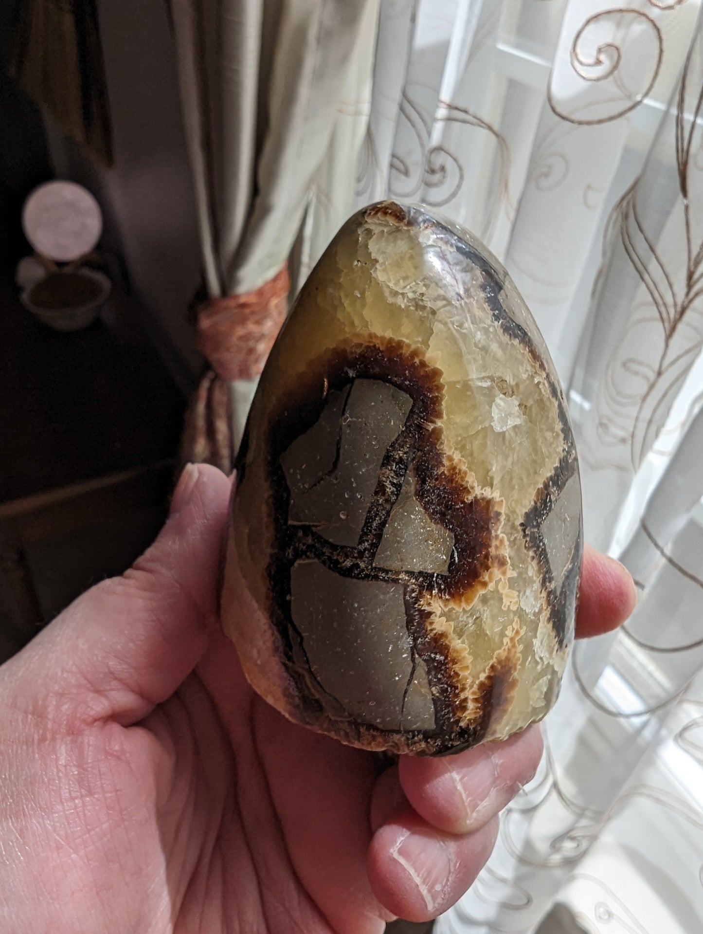 Septarian Freeform  - PROTECTION, CONFIDENCE, STRENGTH