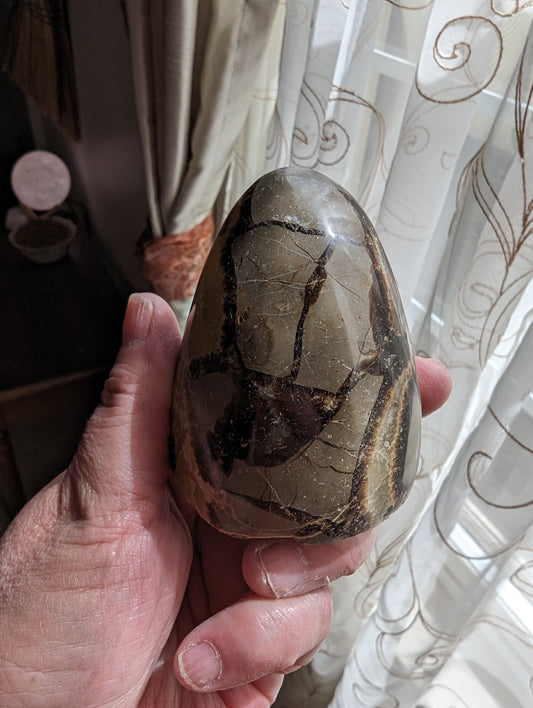 Septarian Freeform  - PROTECTION, CONFIDENCE, STRENGTH