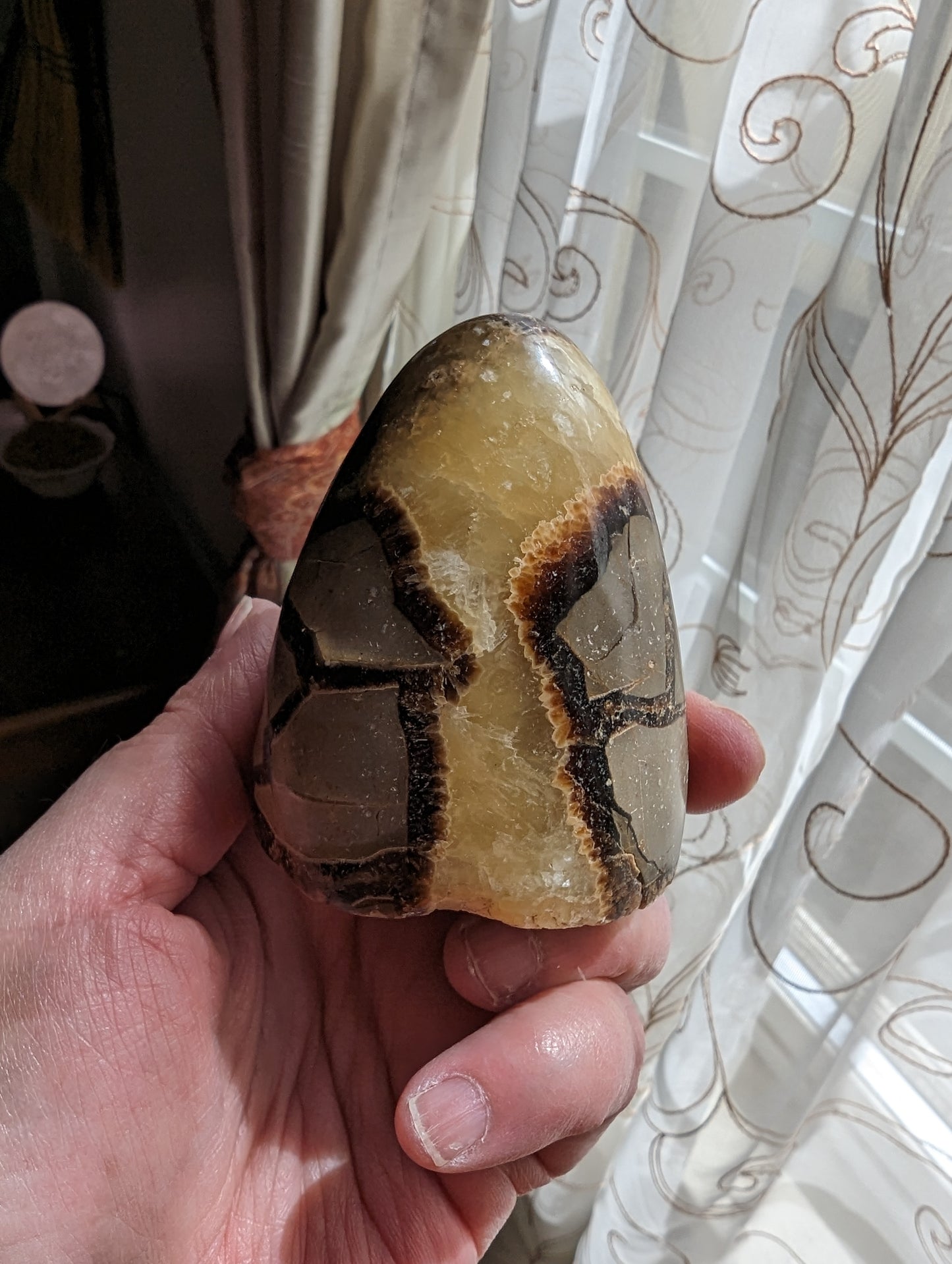 Septarian Freeform  - PROTECTION, CONFIDENCE, STRENGTH