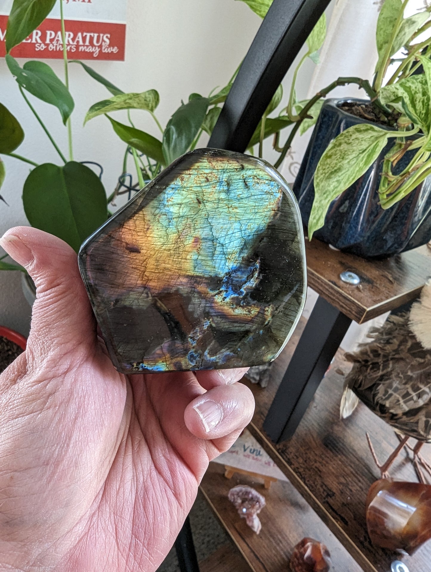 Labradorite Freeform (Madagascar)- STRENGTH, TRANSFORMATION, INTUITION