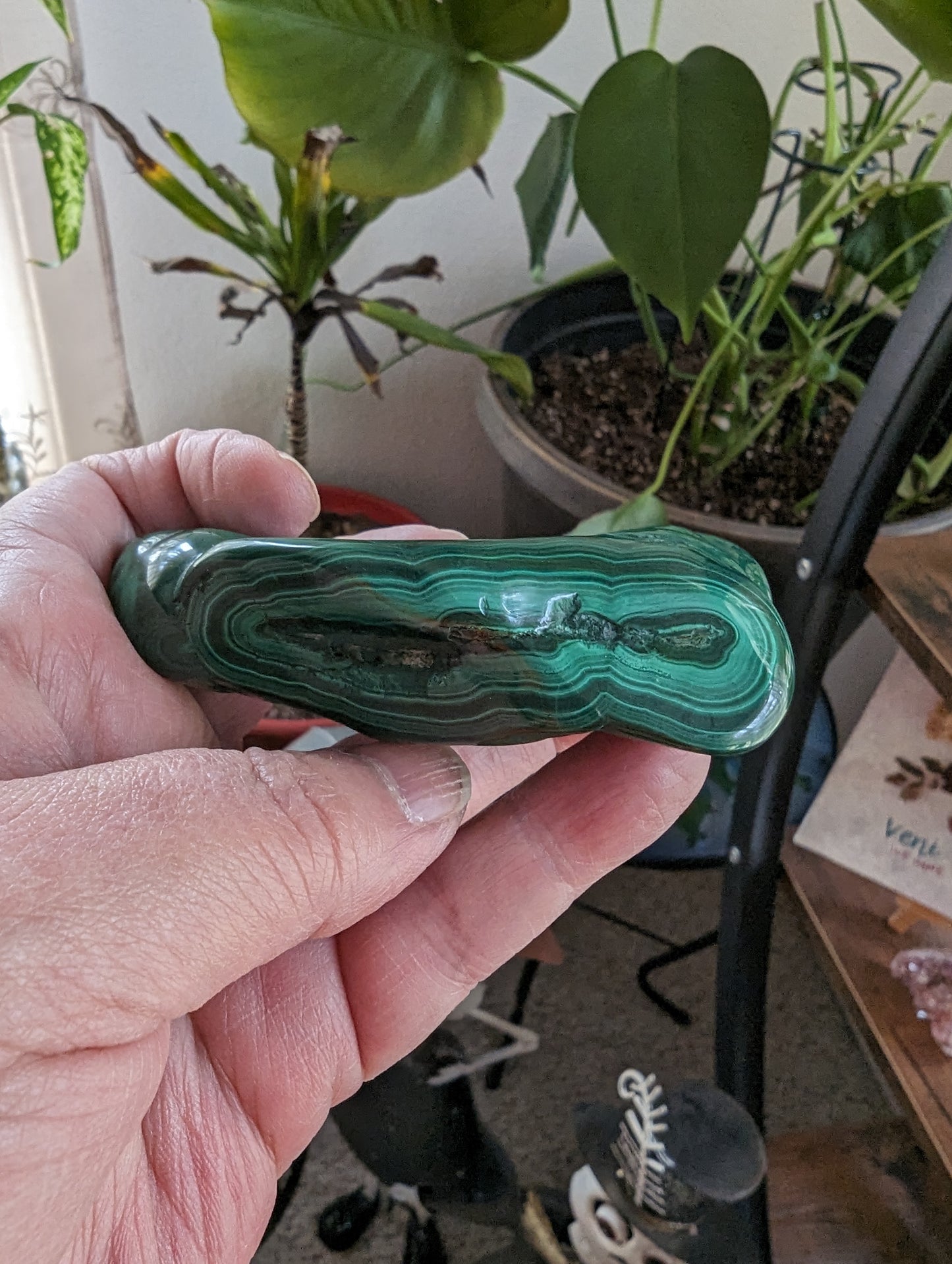 Malachite (Congo) - ABUNDANCE, BALANCE, CLEANSING