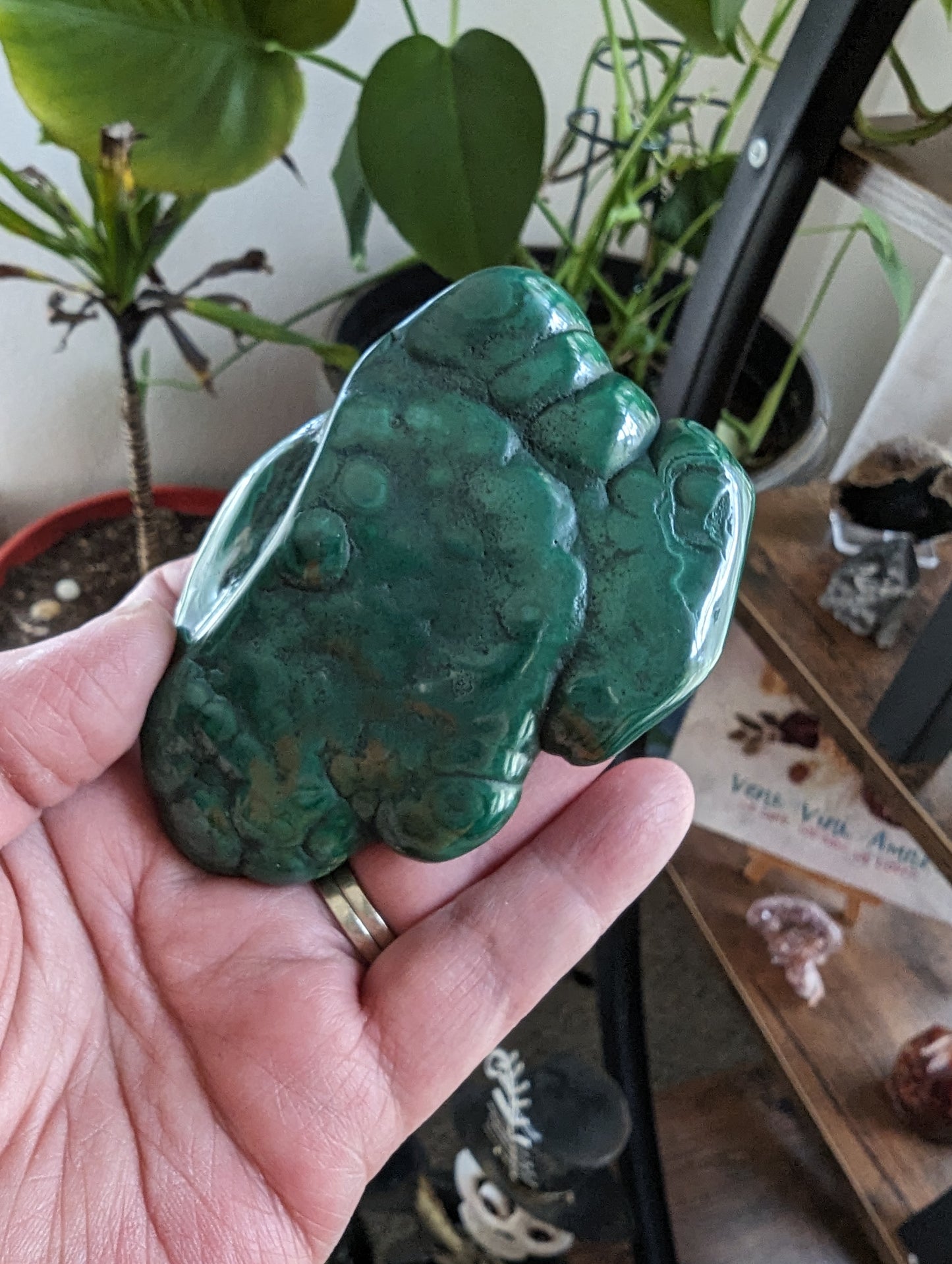 Malachite (Congo) - ABUNDANCE, BALANCE, CLEANSING