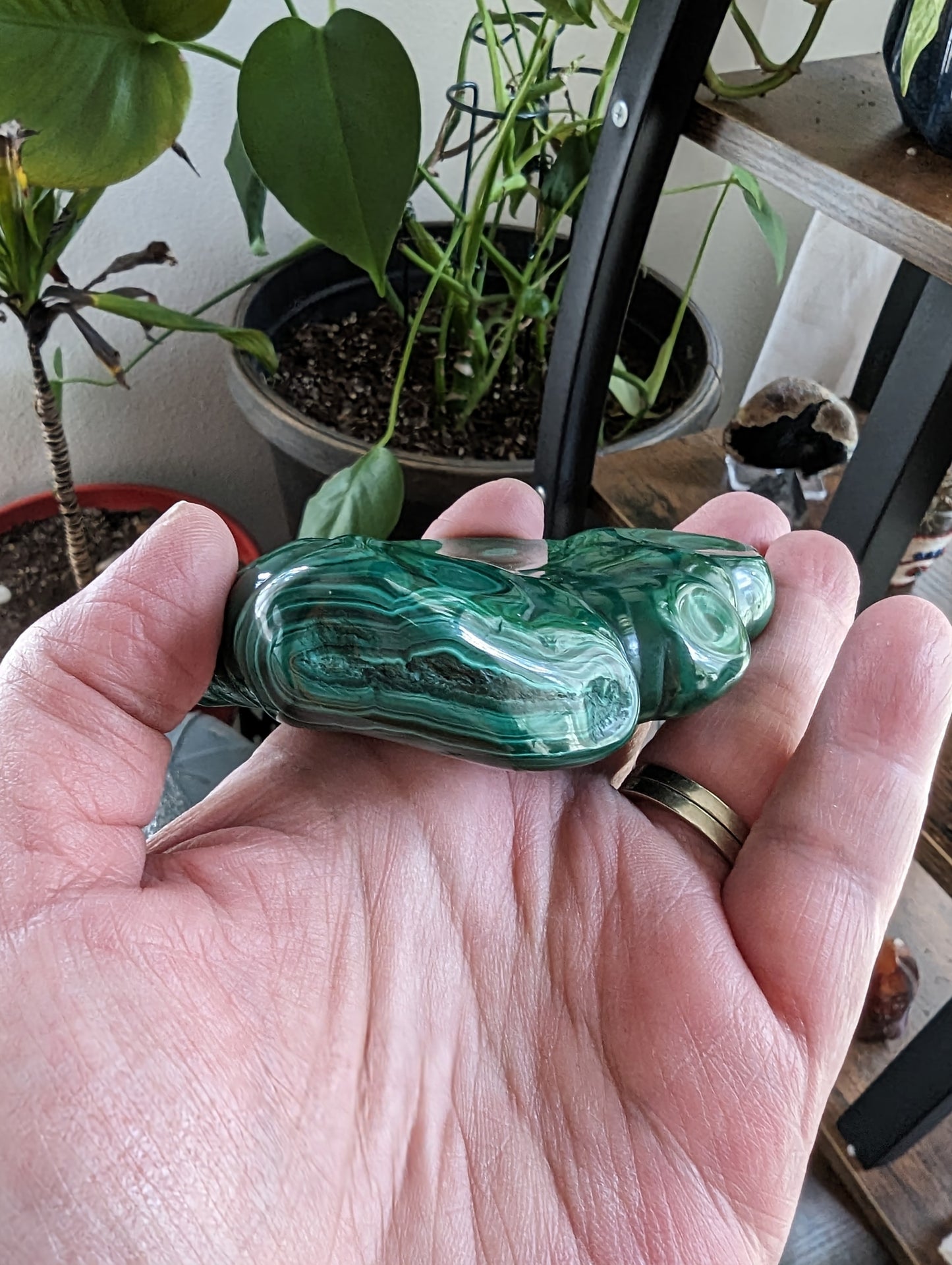 Malachite (Congo) - ABUNDANCE, BALANCE, CLEANSING