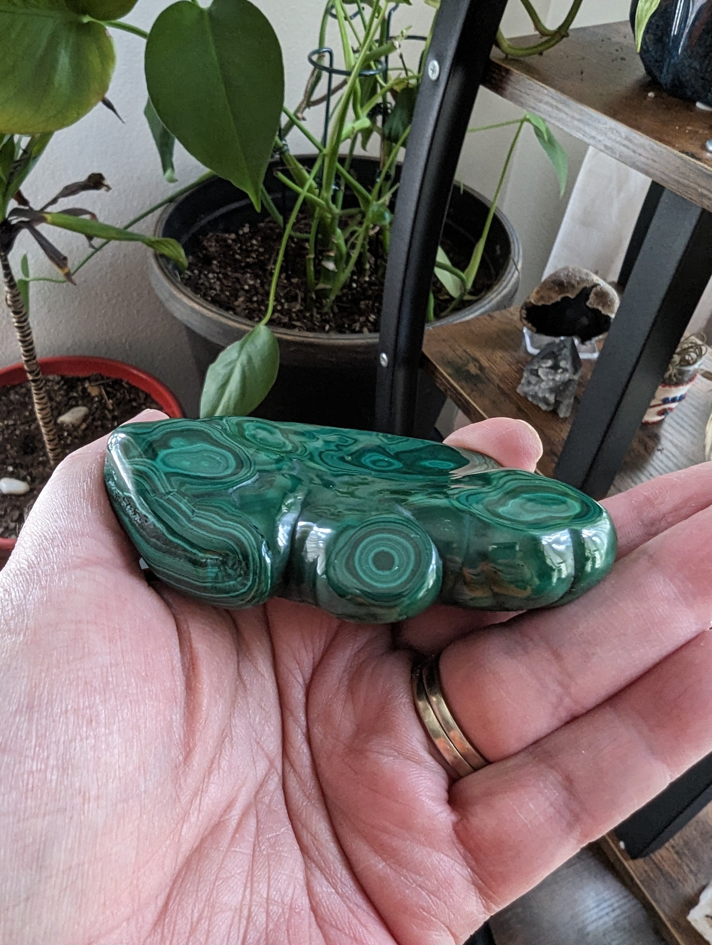 Malachite (Congo) - ABUNDANCE, BALANCE, CLEANSING