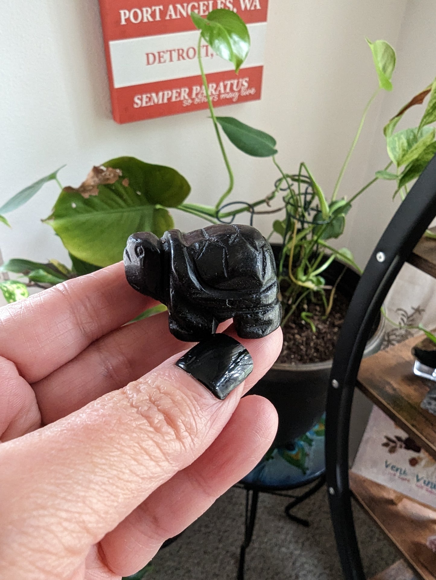 Black Obsidian Turtle -  PROTECTION, TRANSFORMATION, FULFILMENT